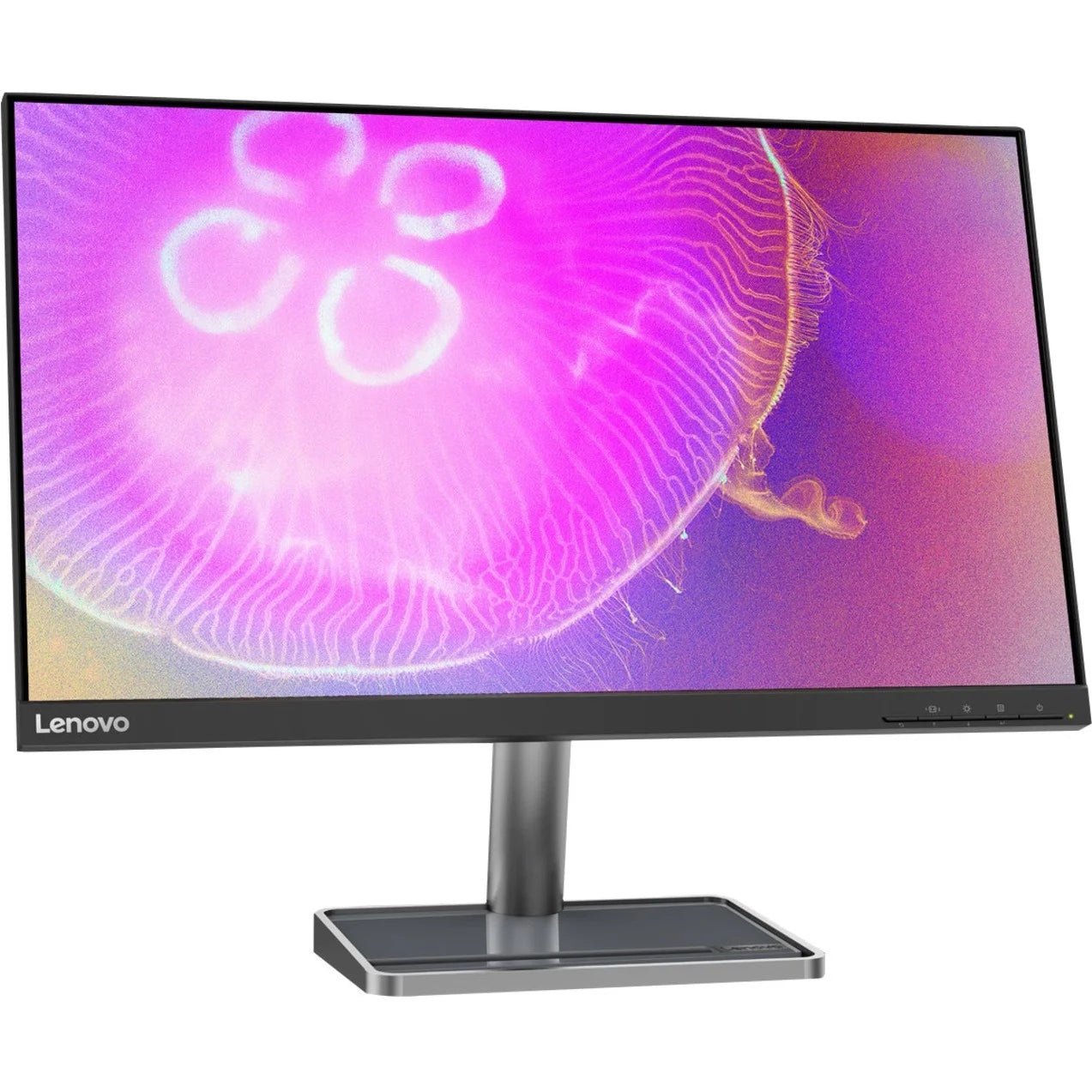 Lenovo L24q-35 24 Class WQHD LCD Monitor, 16:9