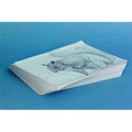 School Smart 085597 Sax Plain Newsprint Newspaper, 30 Lbs. - 12 x 18 In. - White, Pack Of 500
