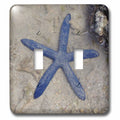 Rare Blue Sea Star starfish Waters of Malolo Island Fiji double toggle switch lsp-22794-2