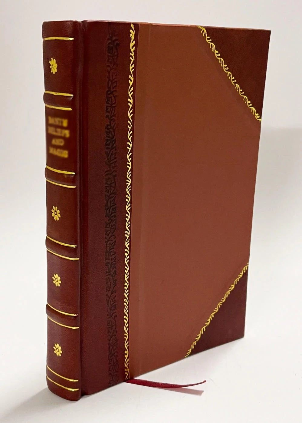 Kommentar Zum Briefe Pauli an Die Romer. Neue Ausarbeitung / Friedrich August G. Tholuck (1842) (1842) [Leather Bound]