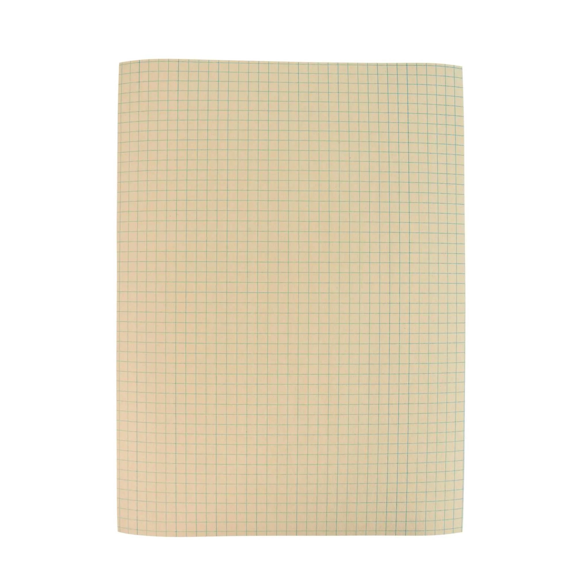 School Smart Graph Paper, 1/4 Inch Rule, 9 x 12 Inches, Manila, 500 Sheets