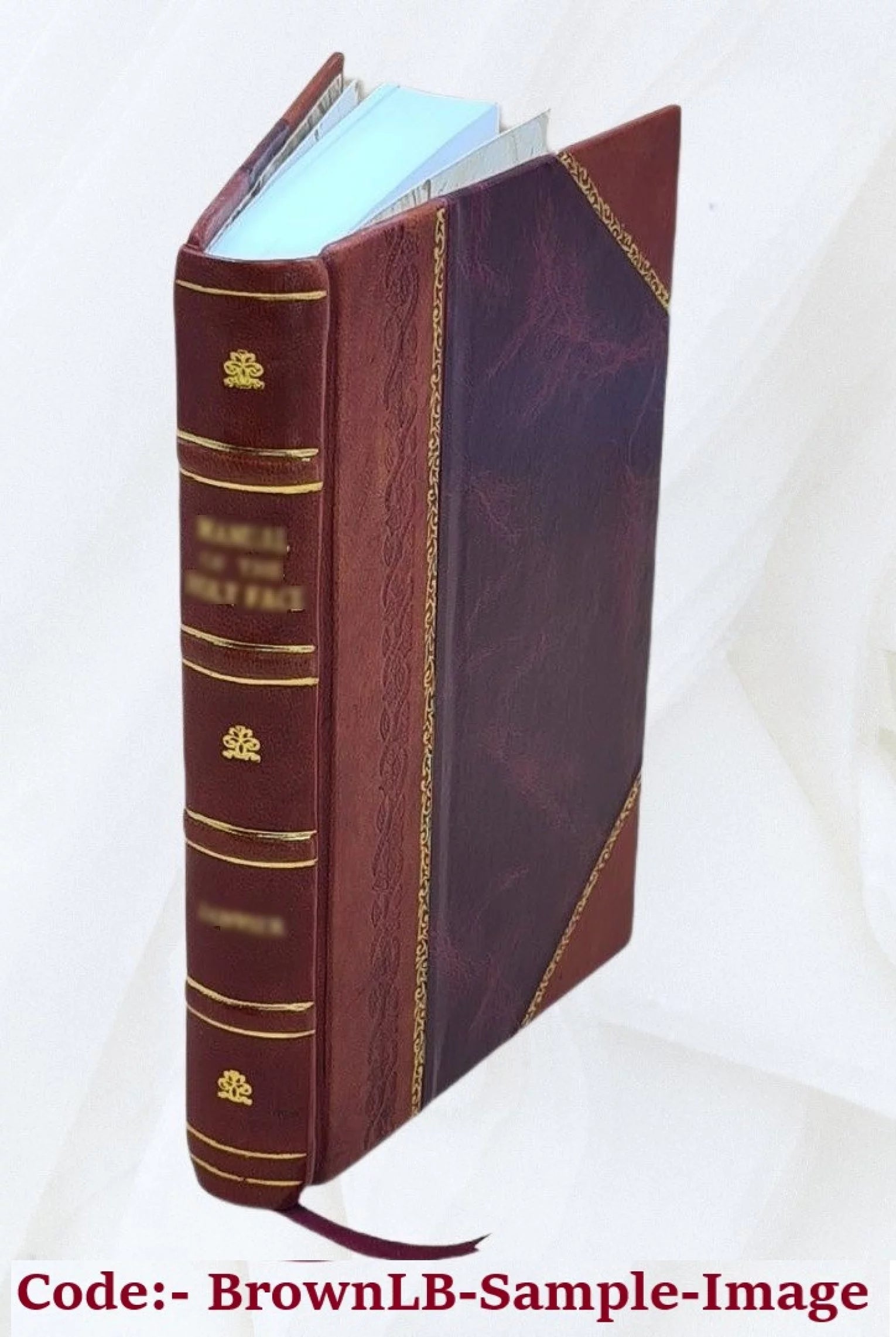 Final environmental statement for the Geothermal Leasing Program. v.1. Volume v.1 1973 [Leather Bound]