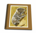 3dRose Baby Koala bear on a tree limb Digital Oil Painting - Drawing Book, 8 by 8-inch