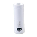 Portable Electric Heating Kettle Small Electric Kettle for Water Milk